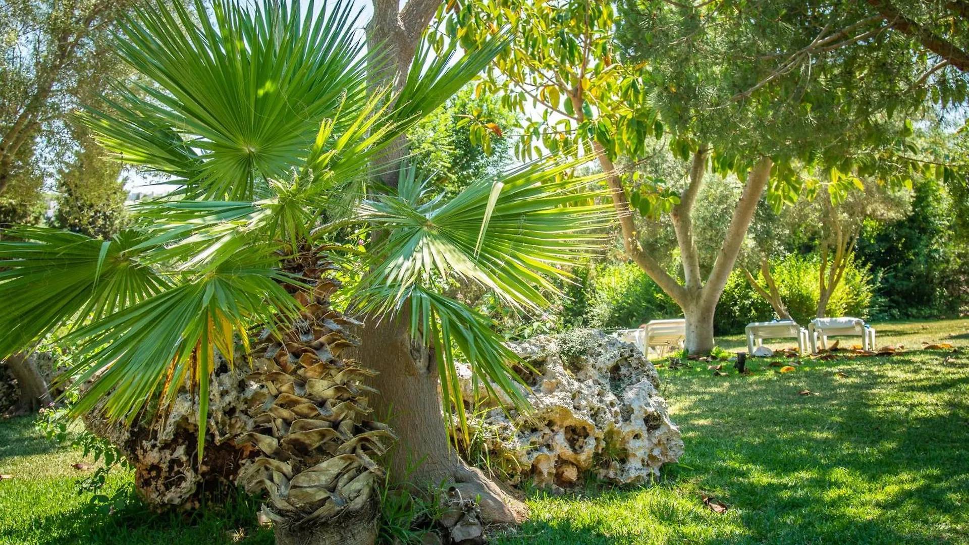 Hotel Club Cala Romani Cales de Mallorca